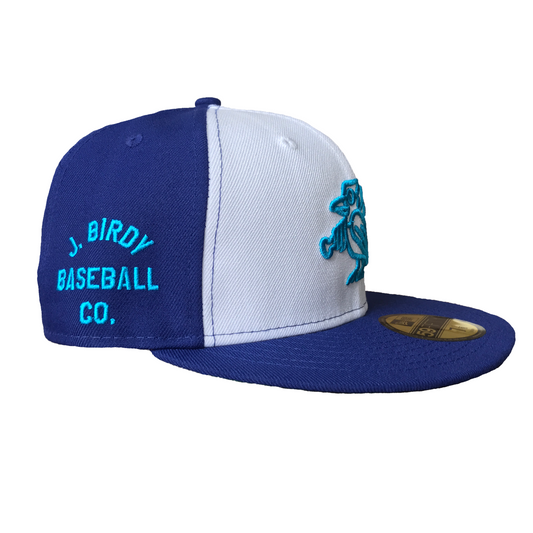 All Products – J. Birdy Baseball Co.